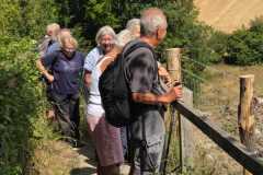 Cuckmere 5th August