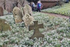 Scotney Castle - 7 mile circular