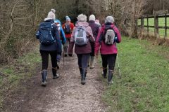 Wadhurst Circular via Bewl