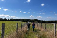 Sunday-17th-Aug-Waldron4